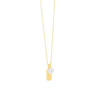 SECRECY Gold Silver Necklace