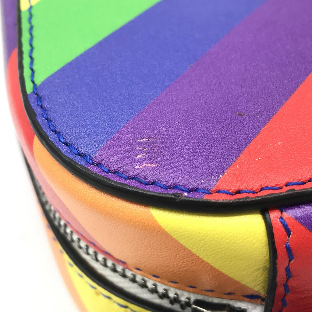 Balenciaga Camera Handbag