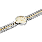 Pierre Cardin Gray Stainless Steel Dress Watch