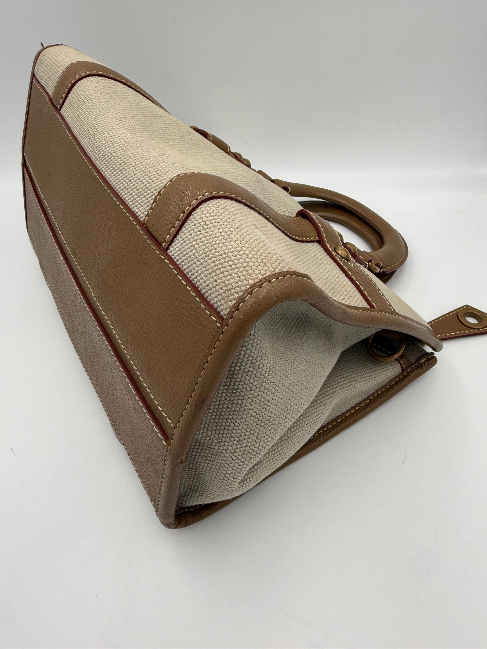 Louis Vuitton LOUIS VUITTON TRIANION NEVERFULL Handbag