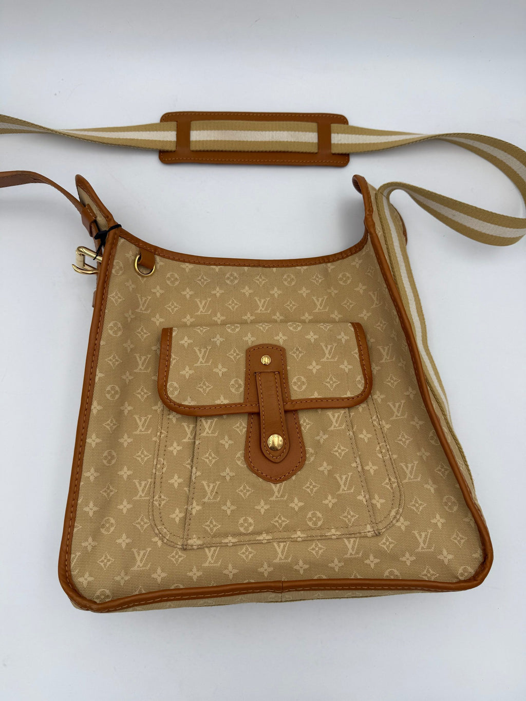 Louis Vuitton Multicolor Leather Handbag