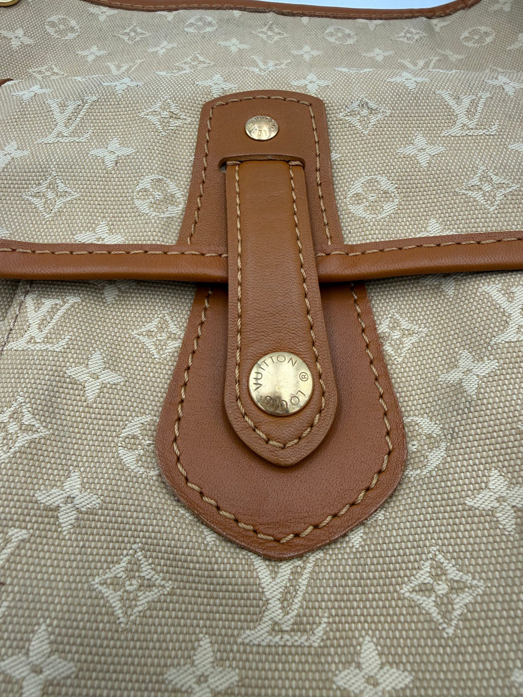 Louis Vuitton Multicolor Leather Handbag