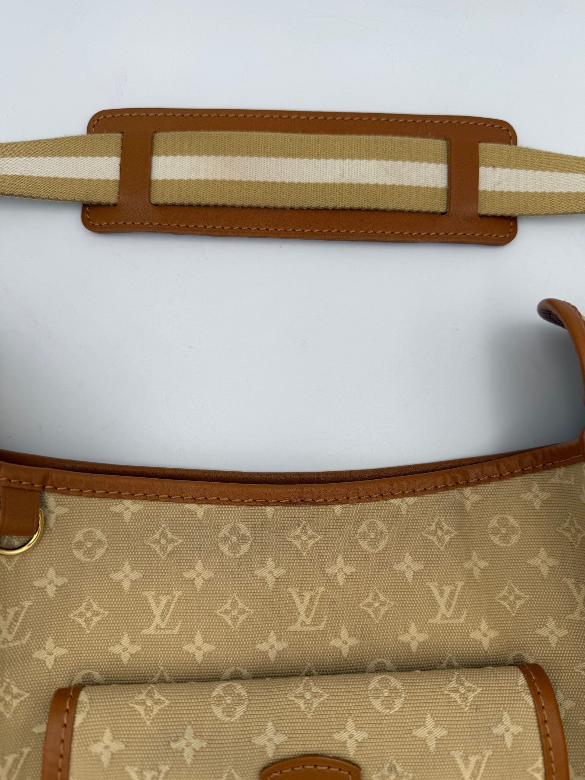 Louis Vuitton Multicolor Leather Handbag