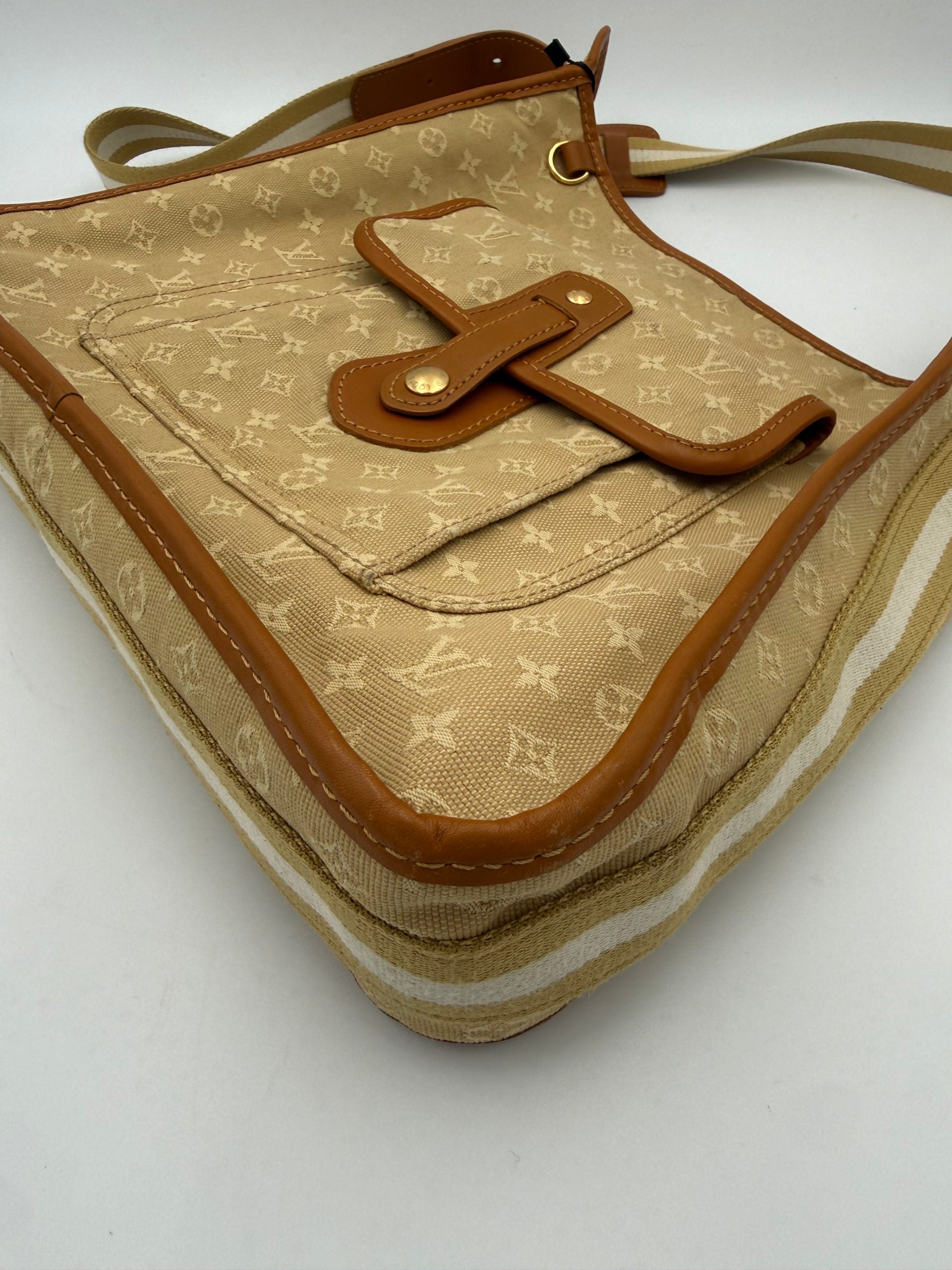 Louis Vuitton Multicolor Leather Handbag