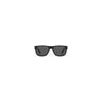 David Beckham Black Acetate Glasses (Frames)