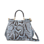 Dolce & Gabbana Light Blue Skin Handbag
