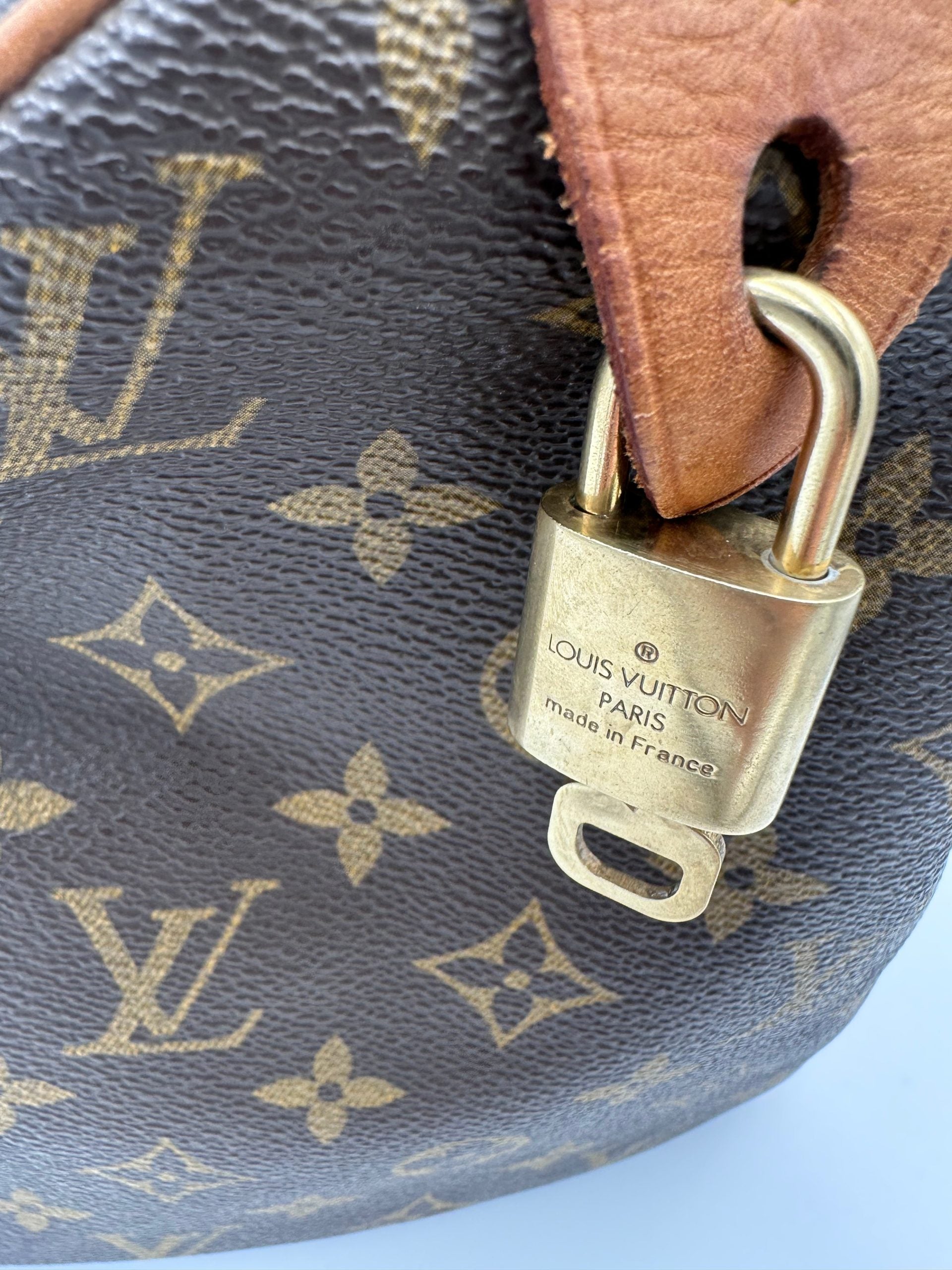 Louis Vuitton LOUIS VUITTON Speedy 30 Monogram Handbag
