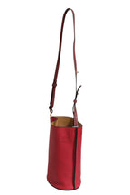 Loewe Gate Raspberry & Wine Leather Bucket Bag