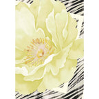 Liu Jo Gray Polyester Foulard