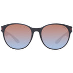 BMW Brown Plastic Sunglasses