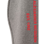 Alexander McQueen Gray Cotton Athletic Pants