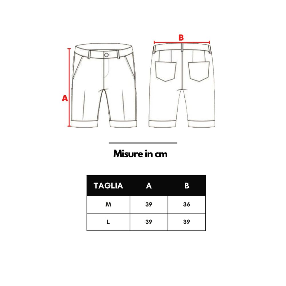 Isaia Red Polyester Swim Shorts