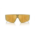 Arnette Gold Resin Sunglasses