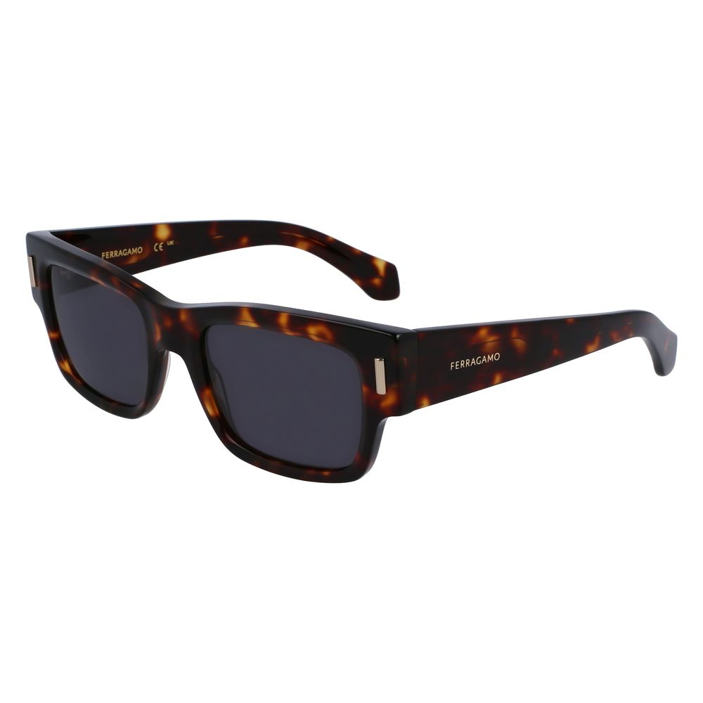 Ferragamo Brown Acetate Sunglasses